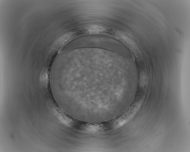 X0000111000405200906261503