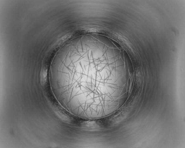 X0000111000406200906261503