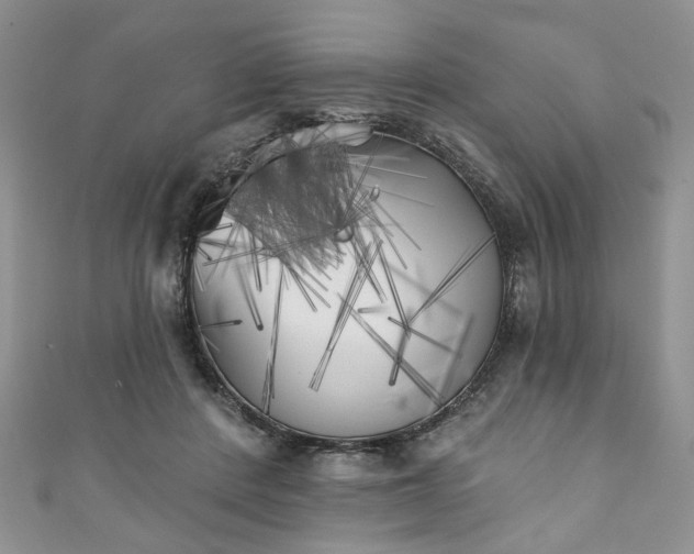 X0000111000408200906261503