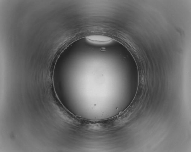 X0000111000411200906261503