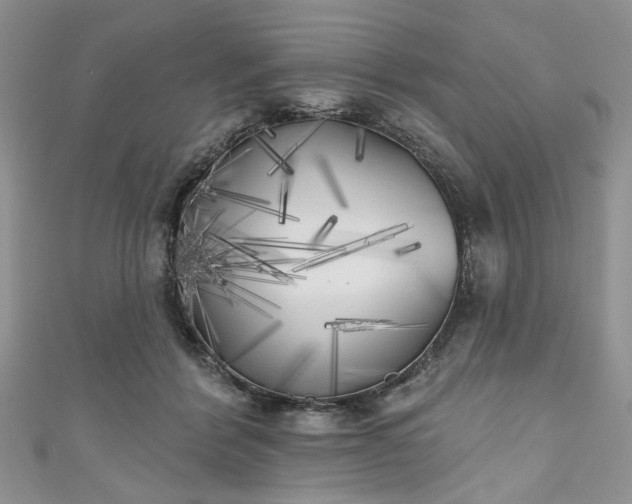 X0000111000412200906261503