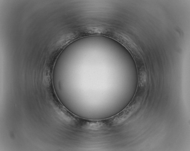 X0000111000414200906261503