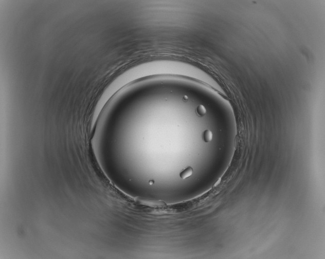 X0000111000415200906261503