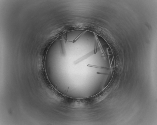X0000111000416200906261503