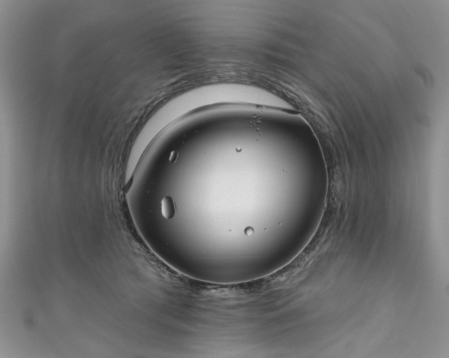 X0000111000417200906261503