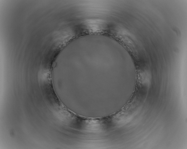 X0000111000419200906261503