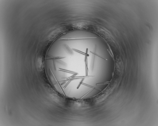 X0000111000420200906261503