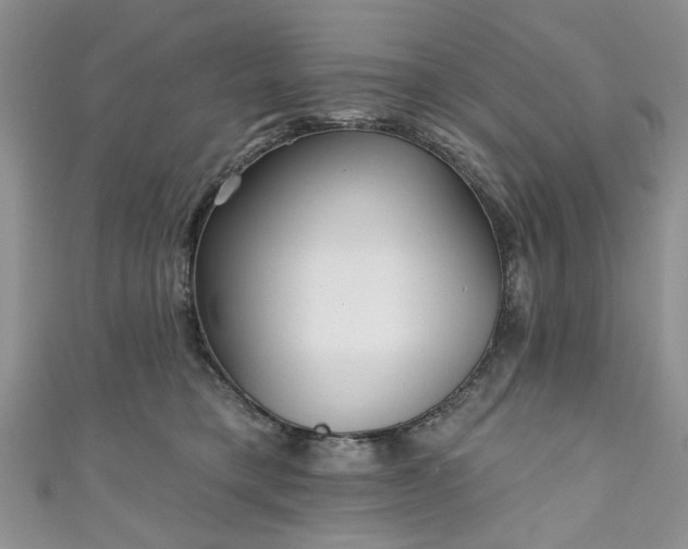 X0000111000421200906261503