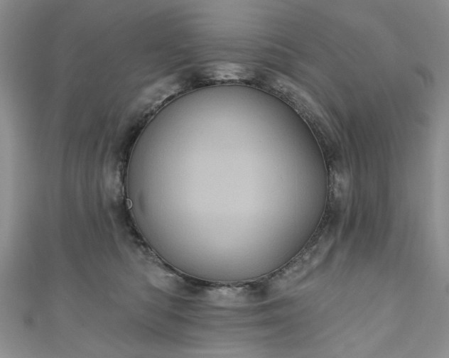 X0000111000422200906261503