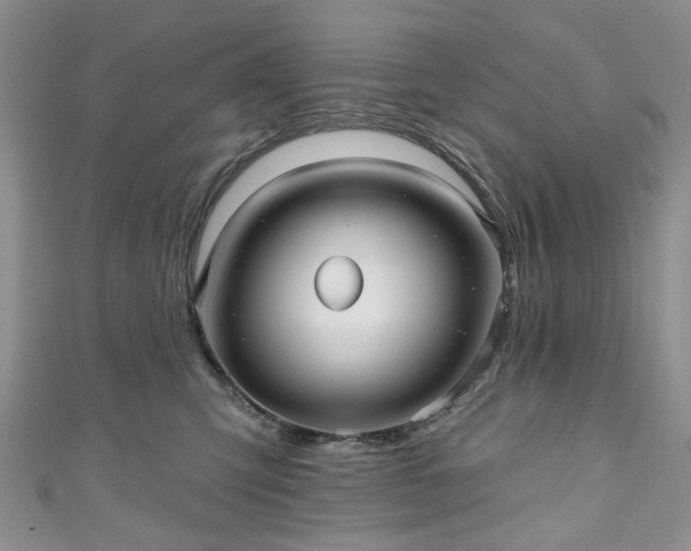 X0000111000423200906261503