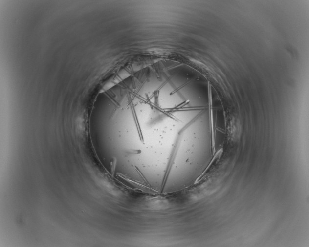 X0000111000424200906261503