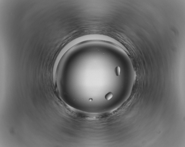 X0000111000425200906261503