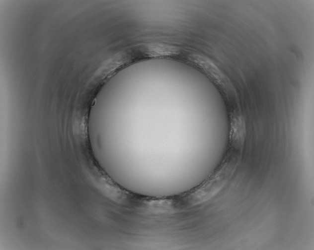 X0000111000426200906261503