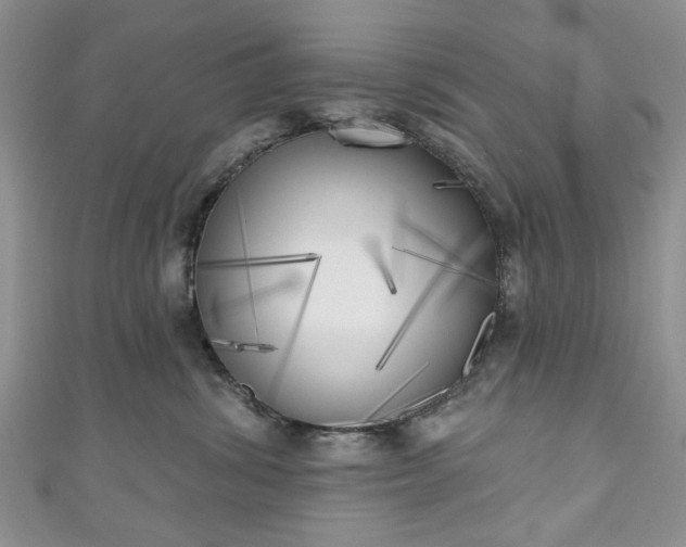 X0000111000428200906261503
