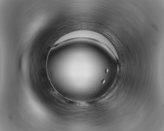 X0000111000429200906261503