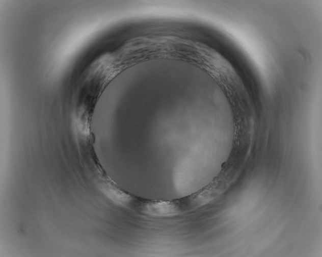 X0000111000431200906261503