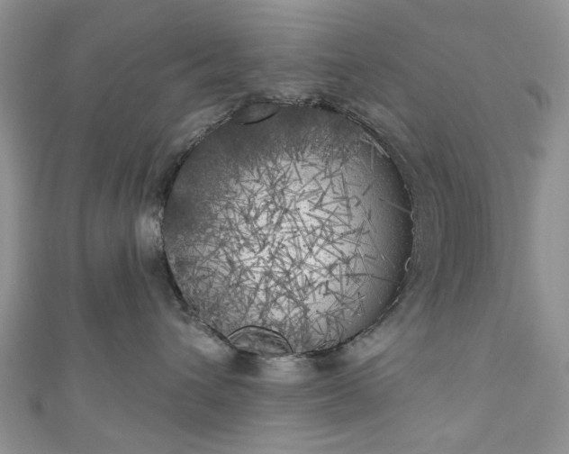 X0000111000432200906261503