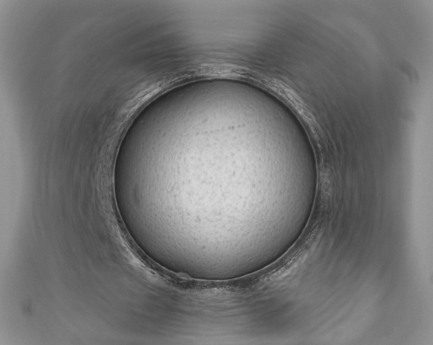 X0000111000433200906261502