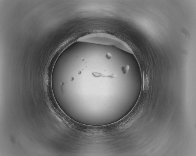 X0000111000435200906261502