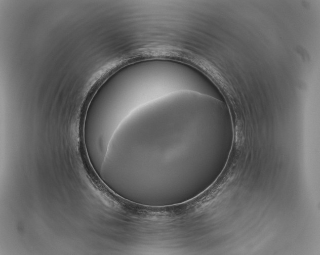 X0000111000438200906261502