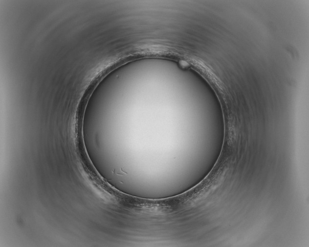 X0000111000439200906261502