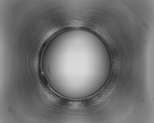 X0000111000440200906261502