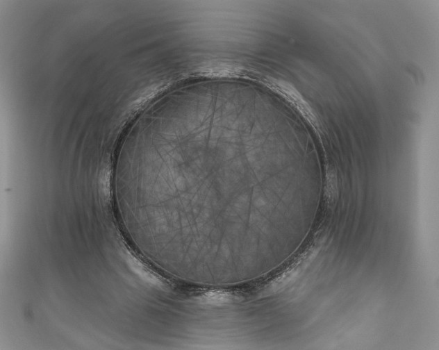 X0000111000441200906261502
