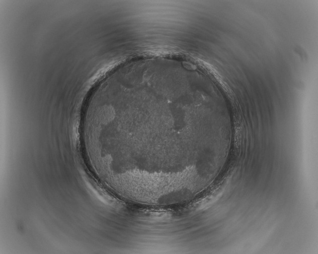 X0000111000443200906261502