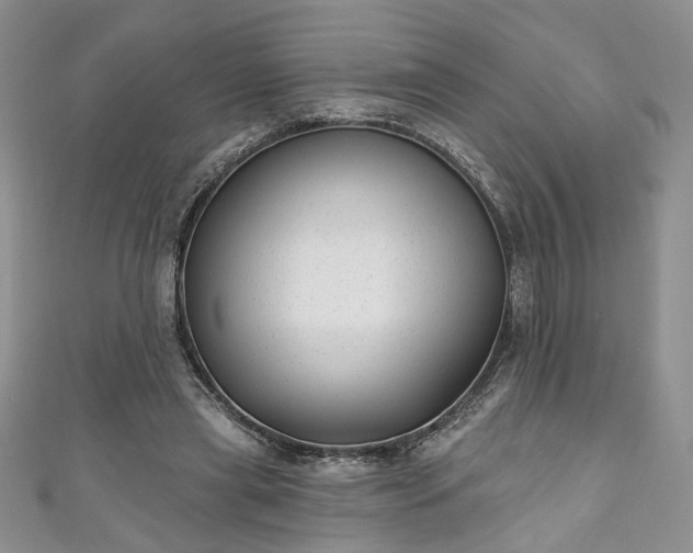 X0000111000445200906261502