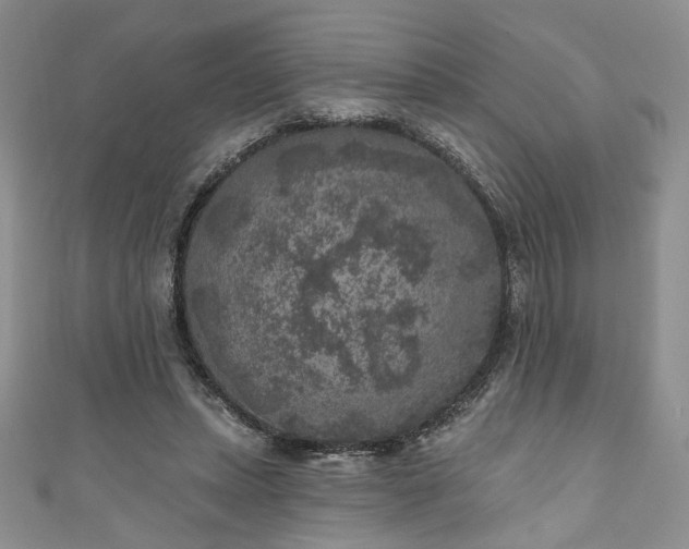 X0000111000447200906261502