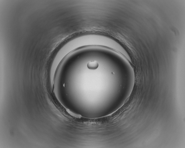 X0000111000448200906261502