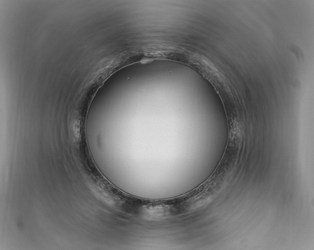 X0000111000452200906261502