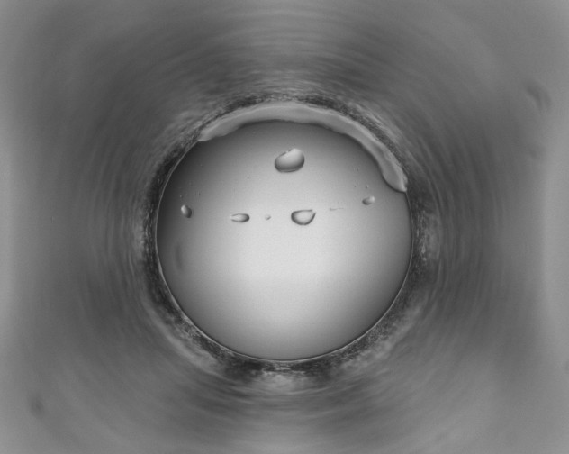 X0000111000455200906261502