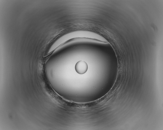 X0000111000456200906261502