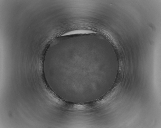 X0000111000457200906261502