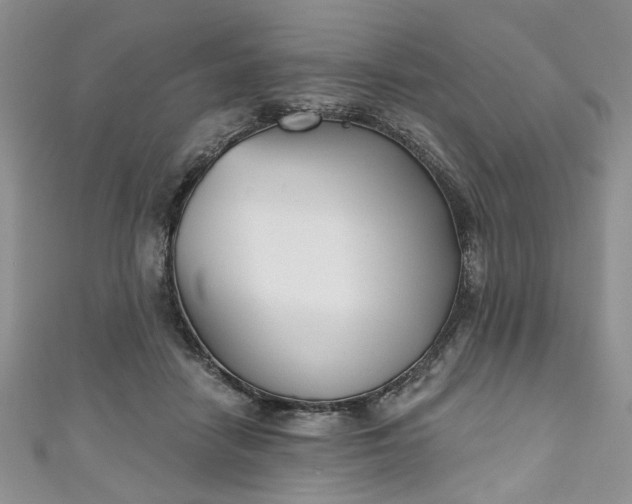 X0000111000458200906261502