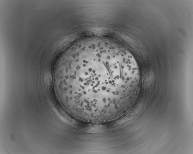 X0000111000459200906261502