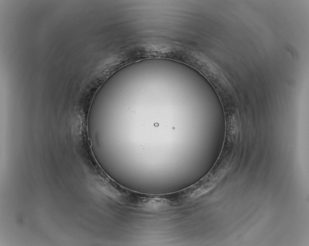 X0000111000463200906261502