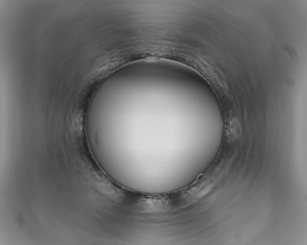 X0000111000466200906261502