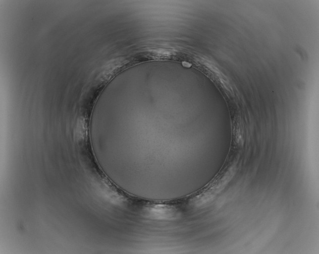 X0000111000467200906261502