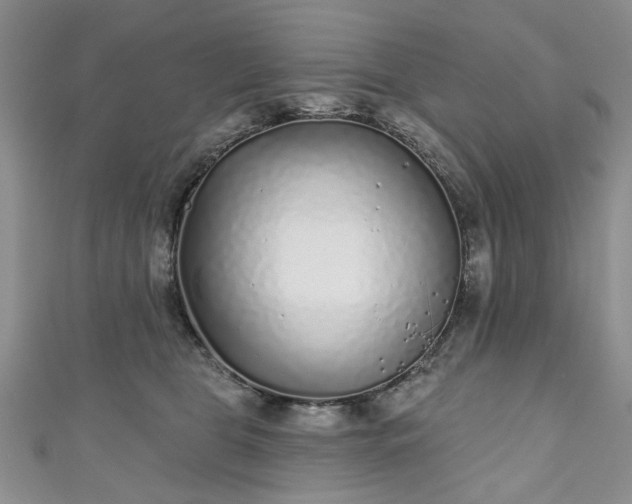 X0000111000469200906261502