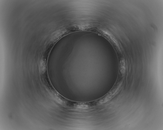 X0000111000471200906261502