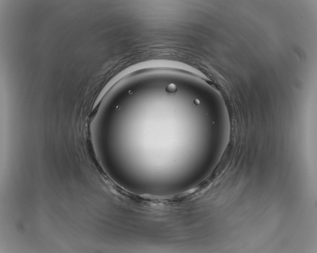 X0000111000475200906261502