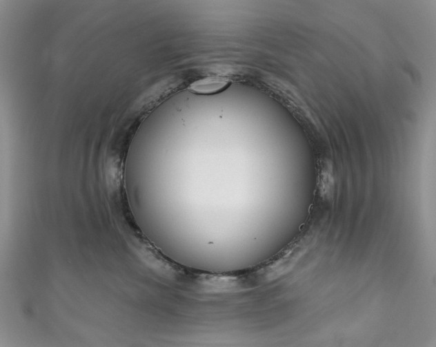 X0000111000476200906261503