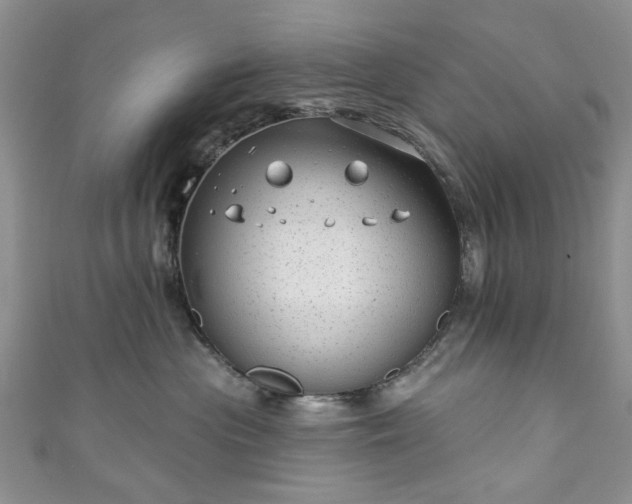 X0000111000477200906261503