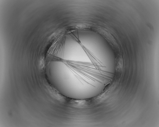 X0000111000478200906261503
