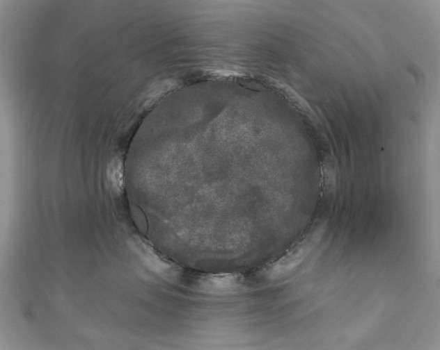 X0000111000479200906261503