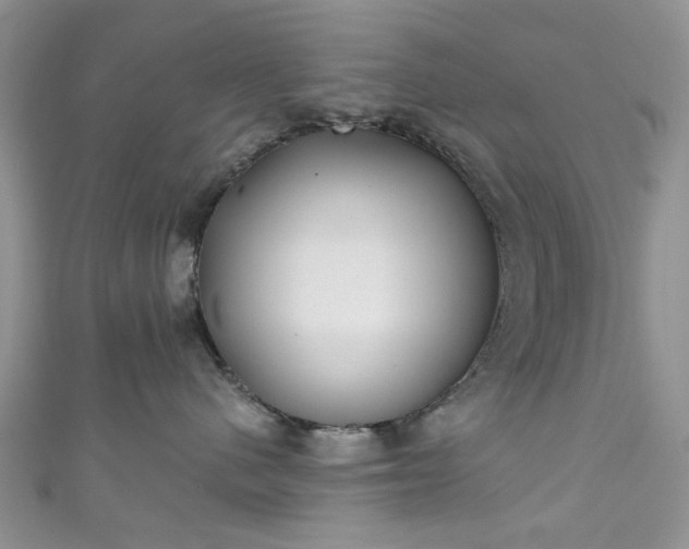 X0000111000480200906261503