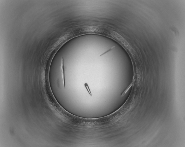 X0000111000482200906261502