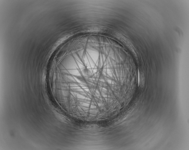 X0000111000483200906261502